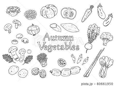 手描きモノクロ線画 秋の野菜のイラストセット のイラスト素材
