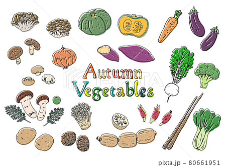 手描き線画 秋の野菜のイラストセット のイラスト素材