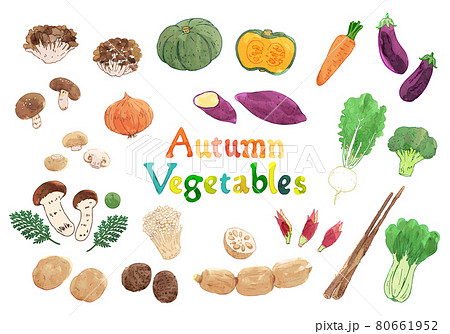 手描き水彩画 秋の野菜のイラストセットのイラスト素材