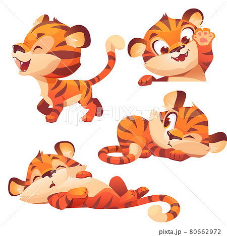 Cute baby tiger character sleep and peep Cute baby tiger character sleep and peep 80662972