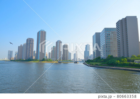 永代橋・永代橋からの風景 永代橋・永代橋からの風景 80663358