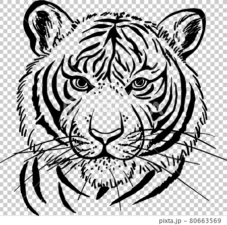 虎の顔のモノクロ線画イラスト 寅のイラスト素材