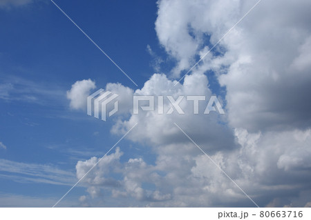 夏の積雲（せきうん）／東京都 80663716