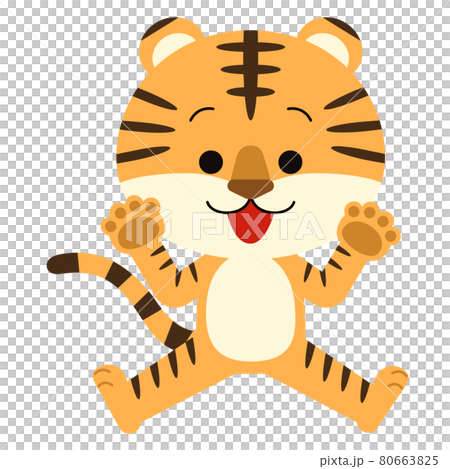 A cute tiger flying with its limbs spread out A cute tiger flying with its limbs spread out 80663825