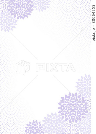 菊の花と鮫小紋の背景イラスト はがきサイズ 菊の花と鮫小紋の背景イラスト はがきサイズ 80664255