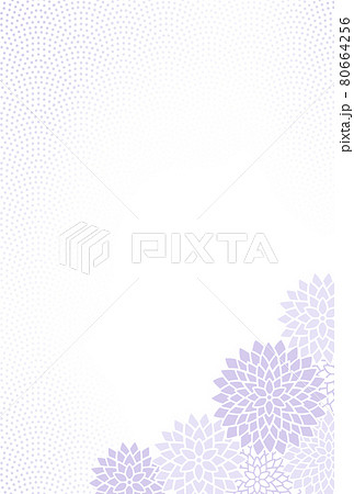 菊の花と鮫小紋の背景イラスト　はがきサイズ 80664256
