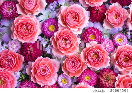 ピンクと紫の花の背景。バラ、ナデシコ、デンファレ ピンクと紫の花の背景。バラ、ナデシコ、デンファレ 80664592