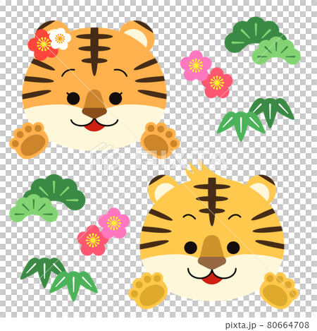トラペアと松竹梅のイラスト素材 トラペアと松竹梅のイラスト素材 80664708