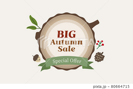 リボン 松ぼっくり 年輪 80664715