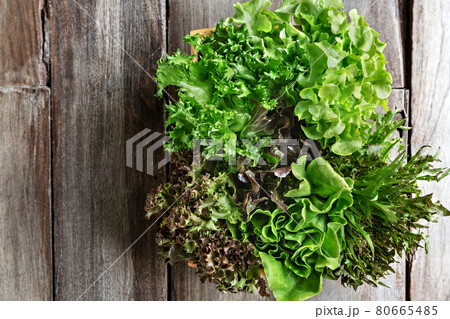 Varieties of Lettuce 80665485