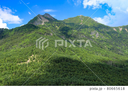 南八ヶ岳 編笠山登山道から権現岳を望む 南八ヶ岳 編笠山登山道から権現岳を望む 80665618