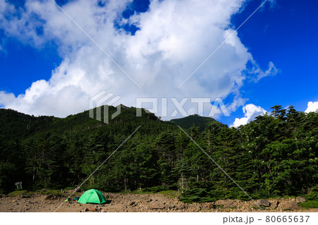 南八ヶ岳の夏 青年小屋テント場 南八ヶ岳の夏 青年小屋テント場 80665637