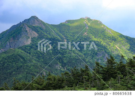 南八ヶ岳　編笠山山頂から権現岳を望む 80665638