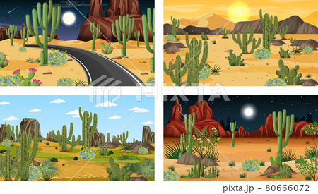 Four different desert forest landscape scenes with various desert plants 80666072