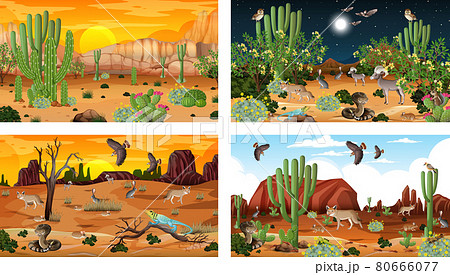 Different scenes with desert forest landscape with animals and plants 80666077