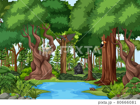 Nature scene with stream flowing through the forest with wild animals 80666081