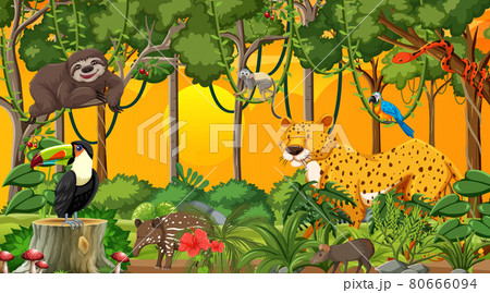 Nature forest at sunset time scene wtih wild animals 80666094