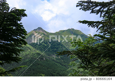 南八ヶ岳 編笠山登山道から権現岳を望む 南八ヶ岳 編笠山登山道から権現岳を望む 80666164