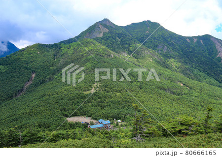 南八ヶ岳 編笠山登山道から権現岳を望む 南八ヶ岳 編笠山登山道から権現岳を望む 80666165