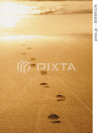 footprints in a tropical beach 80666326