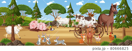 Panorama landscape scene with various farm animals Panorama landscape scene with various farm animals 80666825
