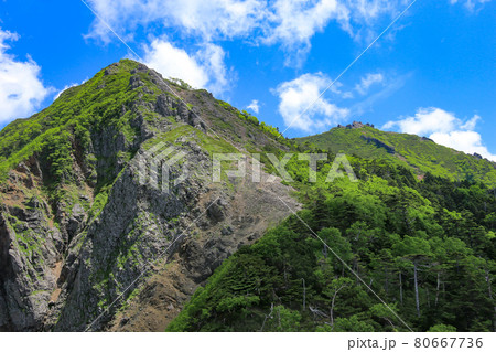 南八ヶ岳　権現岳山頂への道　 80667736