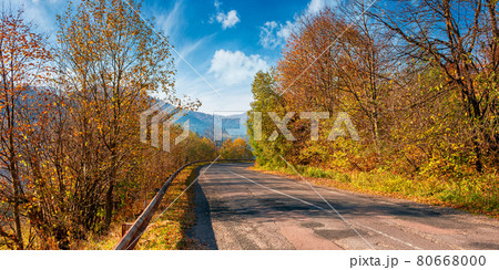 old country road in mountains. trees in colorful foliage in morning light along the serpentine curve. sunny weather with clouds on the sky above the distant range 80668000