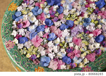 鎌倉の一条恵観山荘の紫陽花の花手水 80668265