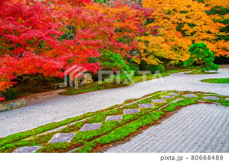 南禅寺・天授庵の紅葉 80668489