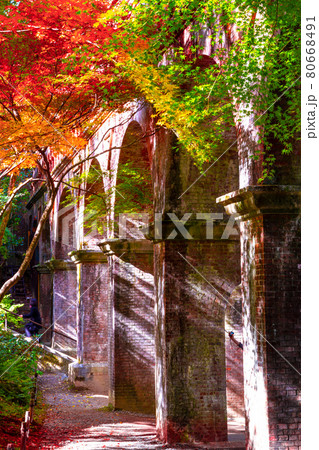 南禅寺・水路閣の紅葉 80668491