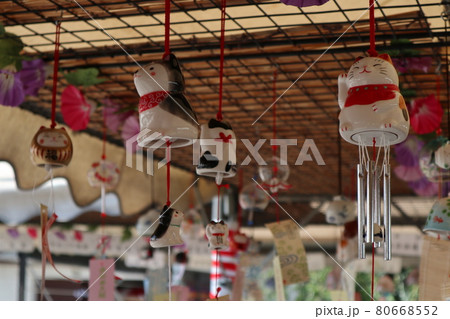 西新井大師　風鈴祭り 80668552