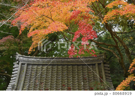【京都府】　亀岡市　積善寺の紅葉　丹波　桜天満宮　秋の景観 80668919