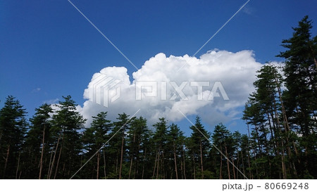 夏の青空と雲と森 夏の青空と雲と森 80669248