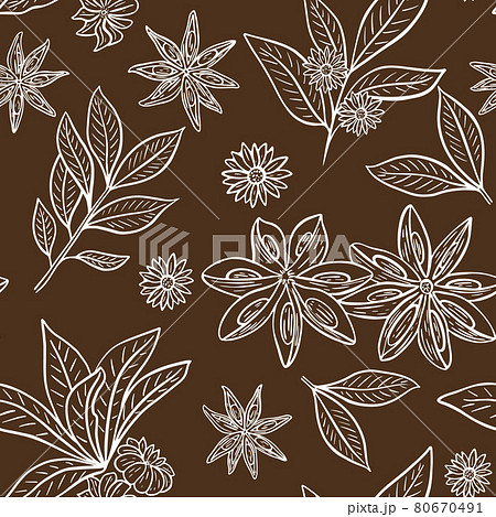 Anise stars pattern. Vector vintage illustration. 80670491
