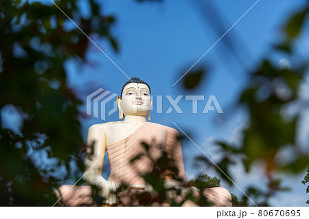 Great Buddha in Kande Vihara Temple, Sri Lanka Great Buddha in Kande Vihara Temple, Sri Lanka 80670695