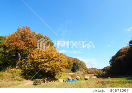 晩秋の谷戸風景 80671097