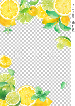 爽やかなシトラスとミントの水彩イラスト レモンとライムの縦フレームデザイン のイラスト素材