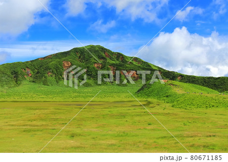 【熊本県】万緑の草千里（阿蘇山） 80671185