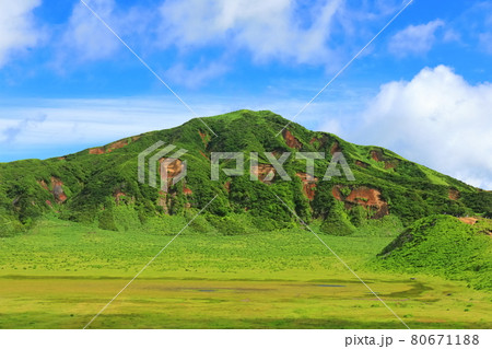 【熊本県】万緑の草千里(阿蘇山) 【熊本県】万緑の草千里(阿蘇山) 80671188