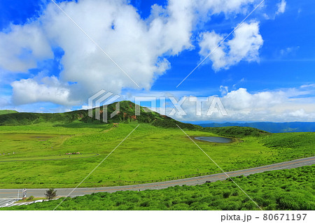 【熊本県】万緑の草千里（阿蘇山） 80671197