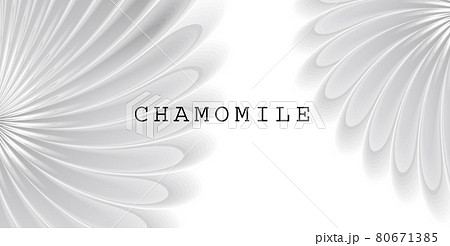 Abstract background with white flower ornament, chamomile soft composition Abstract background with white flower ornament, chamomile soft composition 80671385