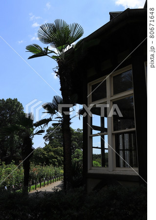 公園・旧古河庭園の洋館 公園・旧古河庭園の洋館 80671648