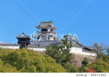 【高知県】高知城（天守閣） 80671992