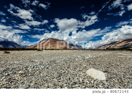 Nubra valley in Himalayas. Ladakh, India Nubra valley in Himalayas. Ladakh, India 80672143