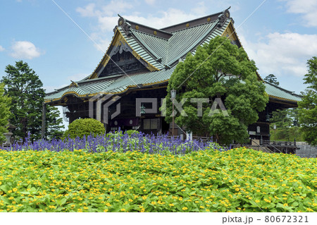 成田山新勝寺 釈迦堂と花畑 夏 成田山新勝寺 釈迦堂と花畑 夏 80672321