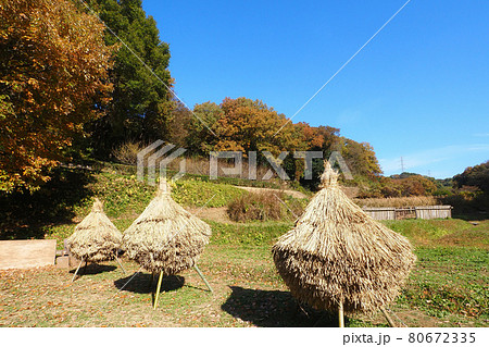 晩秋の谷戸風景 晩秋の谷戸風景 80672335