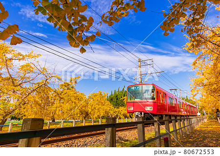 秋のそぶえ、イチョウ並木と名鉄電車〈愛知県稲沢市〉 80672553