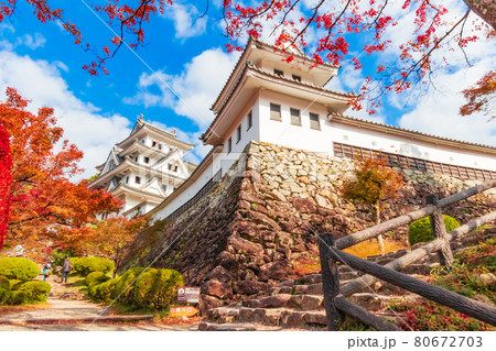 紅葉の郡上八幡城〈岐阜県郡上市〉 紅葉の郡上八幡城〈岐阜県郡上市〉 80672703