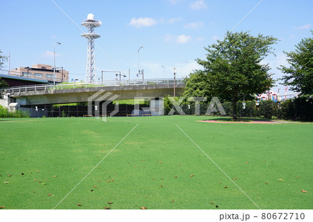 新横浜公園ドッグランの写真素材