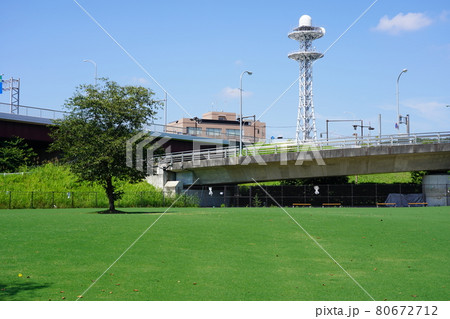 新横浜公園ドッグランの写真素材